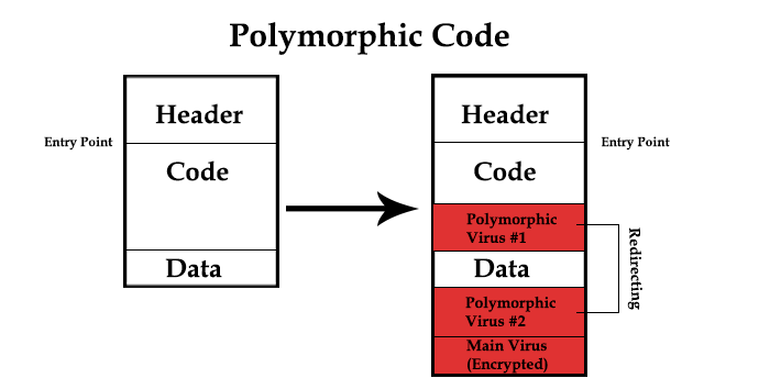 Polymorphic-code-1